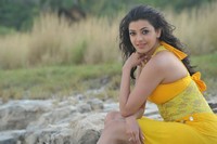 Kajal Stills in Businessman